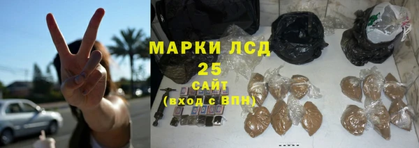крисы Верея