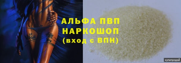 крисы Верея