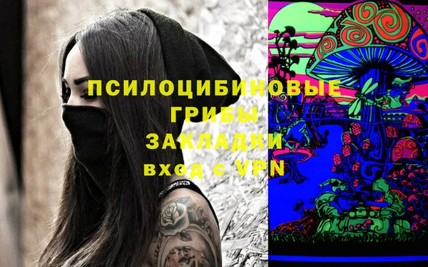 крисы Верея