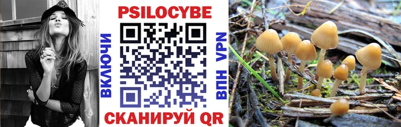 Галлюциногенные грибы MAGIC MUSHROOMS  Купить  Аркадак 